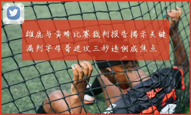 雄鹿与黄蜂比赛裁判报告揭示关键漏判字母哥进攻三秒违例成焦点
