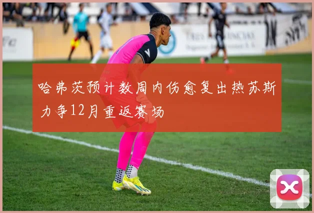 哈弗茨预计数周内伤愈复出热苏斯力争12月重返赛场