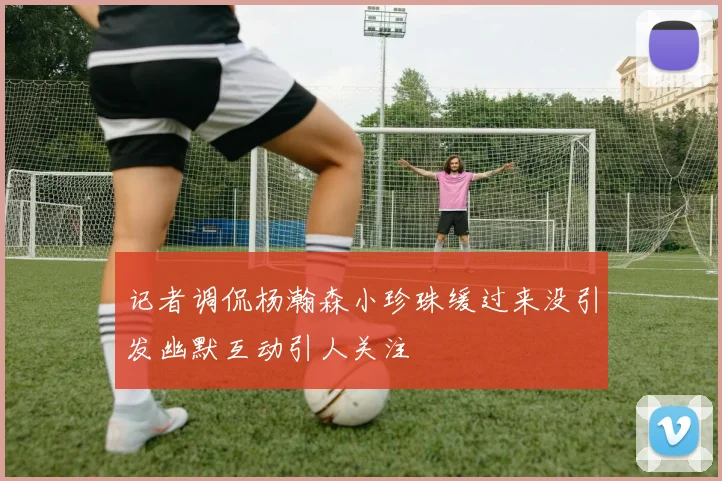记者调侃杨瀚森小珍珠缓过来没引发幽默互动引人关注