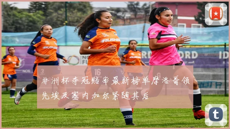 非洲杯夺冠赔率最新榜单摩洛哥领先埃及塞内加尔紧随其后