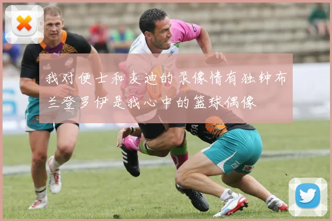 我对便士和麦迪的录像情有独钟布兰登罗伊是我心中的篮球偶像